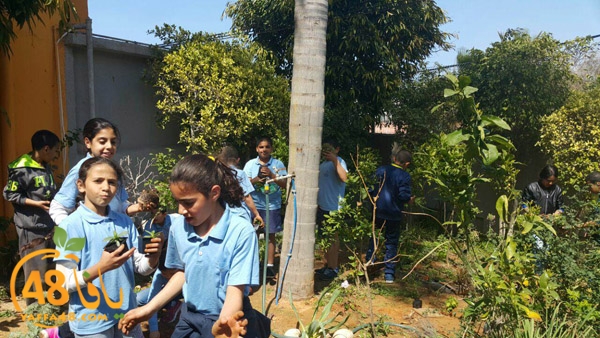 a3mal tayeba 7san3arafa (6).JPG